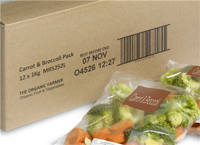 IJ355/375 大字機(jī)